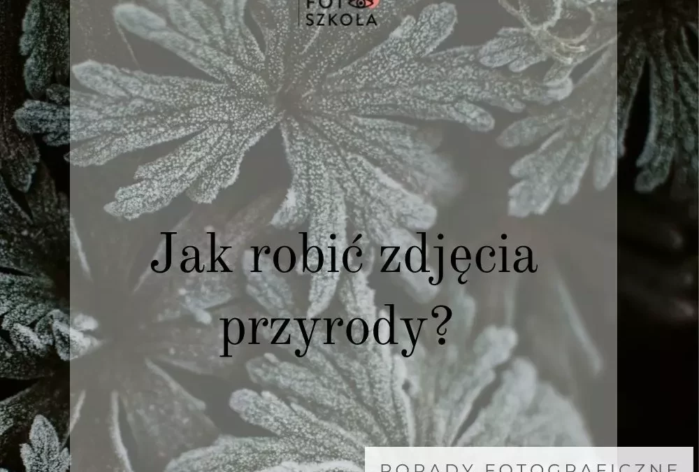 Jak robić zdjęcia przyrody?