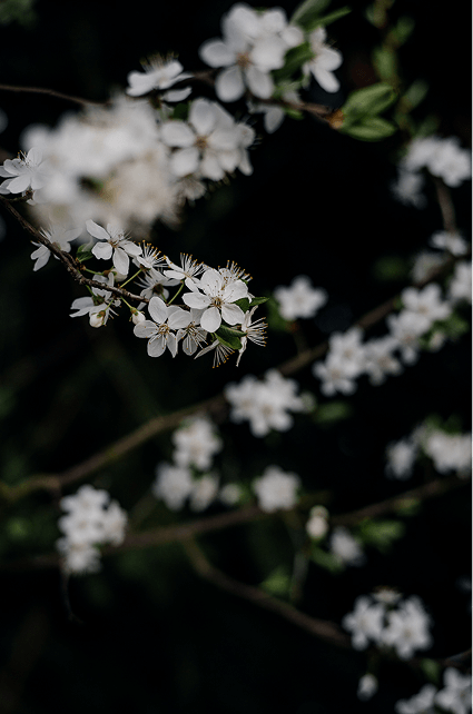 5 lekcji fotografii1